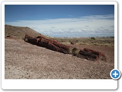 0322_Petrified Forest NP