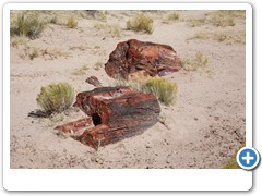 0326_Petrified Forest NP