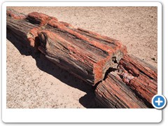 0327_Petrified Forest NP