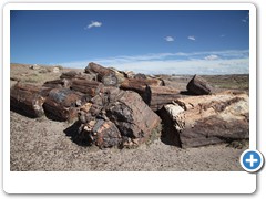 0329_Petrified Forest NP
