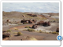 0332_Petrified Forest NP