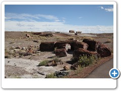 0333_Petrified Forest NP