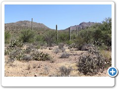 0426_Arizona Sonora Desert Museum
