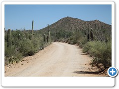 0427_Arizona Sonora Desert Museum