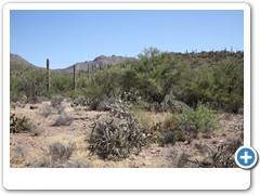 0428_Arizona Sonora Desert Museum
