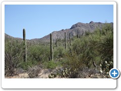 0429_Arizona Sonora Desert Museum