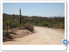 0430_Arizona Sonora Desert Museum