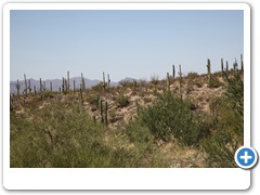 0438_Arizona Sonora Desert Museum