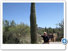 0444_Arizona Sonora Desert Museum