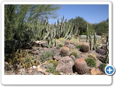 0449_Arizona Sonora Desert Museum
