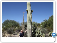 0457_Arizona Sonora Desert Museum