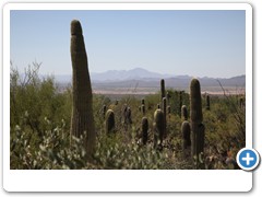 0460_Arizona Sonora Desert Museum