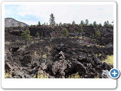 0613_Sunset Crater Volcano