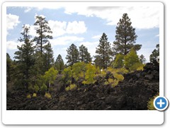 0615_Sunset Crater Volcano