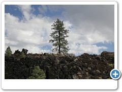 0617_Sunset Crater Volcano