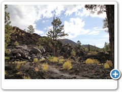 0618_Sunset Crater Volcano