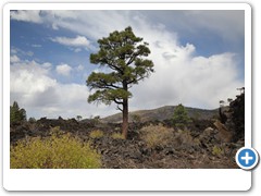 0619_Sunset Crater Volcano