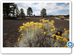 0628_Sunset Crater Volcano