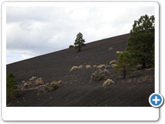 0632_Sunset Crater Volcano