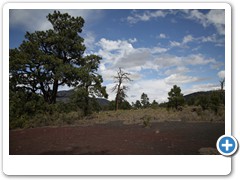 0635_Sunset Crater Volcano