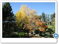 1555_Denver Botanical Garden