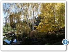 1556_Denver Botanical Garden