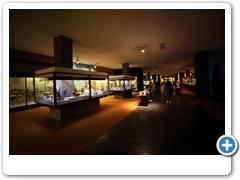 299_Museum_of_Natural_and_History