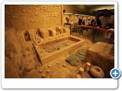 303_Museum_of_Natural_and_History