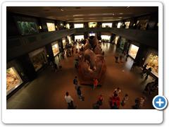 308_Museum_of_Natural_and_History