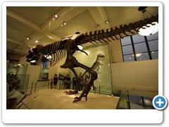 309_Museum_of_Natural_and_History