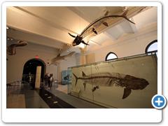 310_Museum_of_Natural_and_History