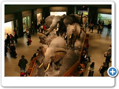 290_Museum_of_Natural_and_History