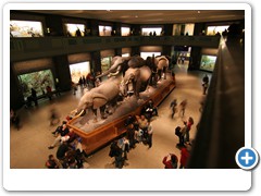 291_Museum_of_Natural_and_History