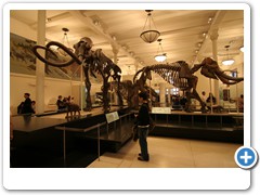 293_Museum_of_Natural_and_History