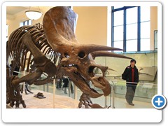 295_Museum_of_Natural_and_History
