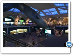 302_Museum_of_Natural_and_History