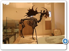 304_Museum_of_Natural_and_History