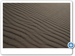 800_Great_Sand_Dunes_NP