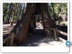 419_Yosemite_NP