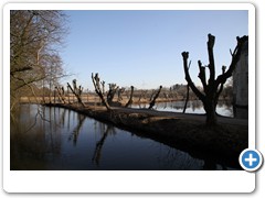010_Burg_Gemen_Borken