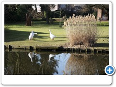 020_Burg_Gemen_Borken