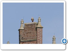 021_Wasserschloss_Herten