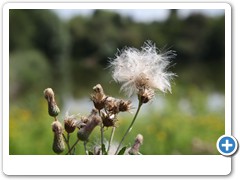 029_Wasserschloss_Herten