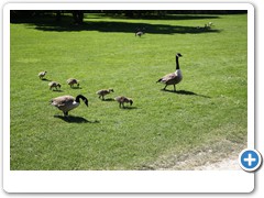 034_Wasserschloss_Herten