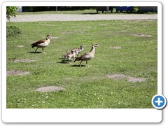 035_Wasserschloss_Herten