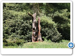 046_Wasserschloss_Herten