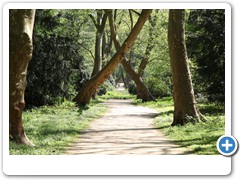 047_Wasserschloss_Herten