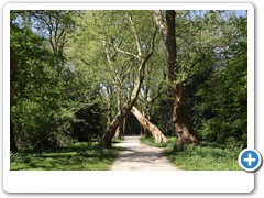 048_Wasserschloss_Herten