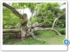 049_Wasserschloss_Herten