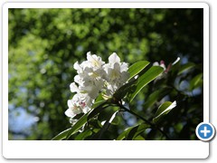 053_Wasserschloss_Herten